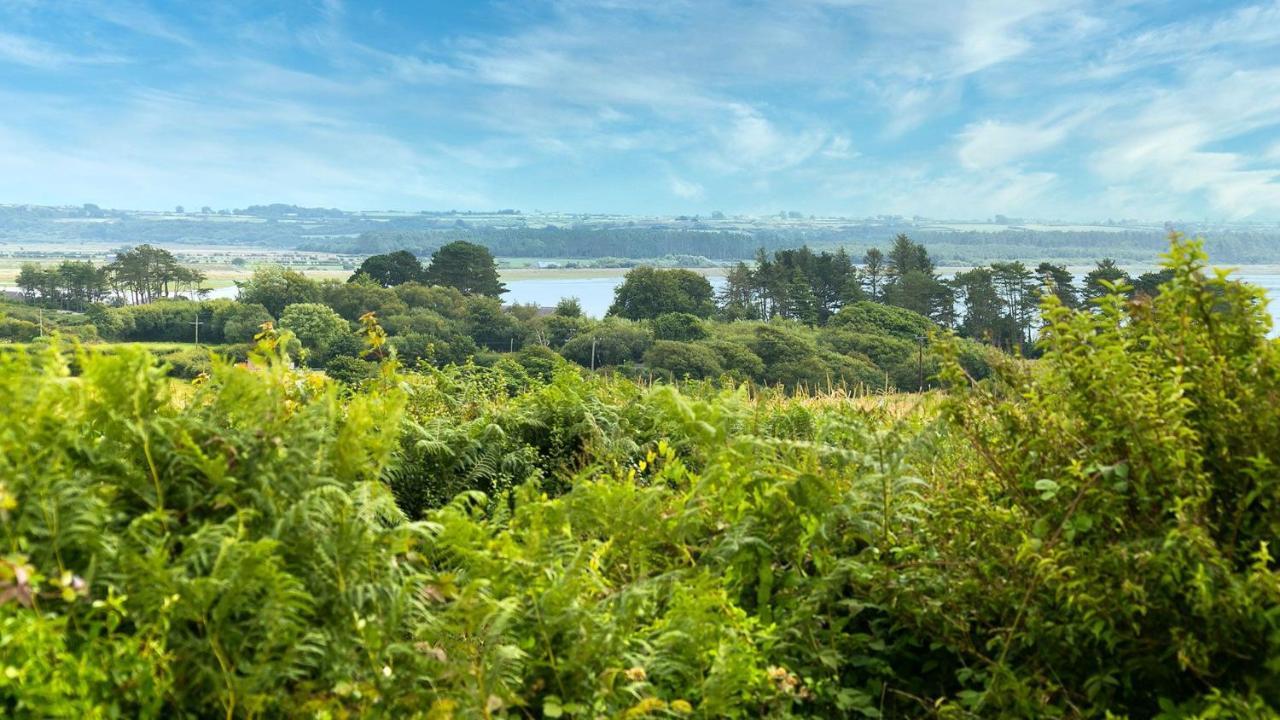 Tan Yr Allt Llangadwaladr  Exteriér fotografie